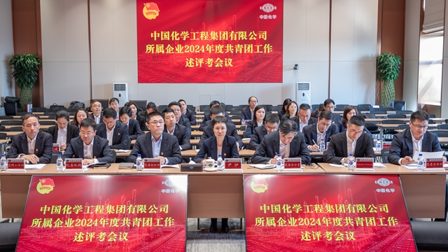 中國化學團委開展所屬企業(yè)共青團工作述評考