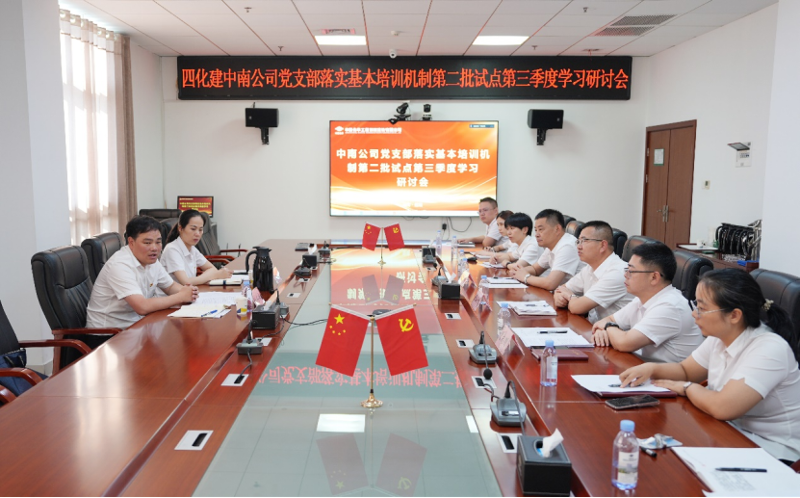 中國化學四化建基層黨組織落實基本培訓機制第二批試點第三季度學習研討①